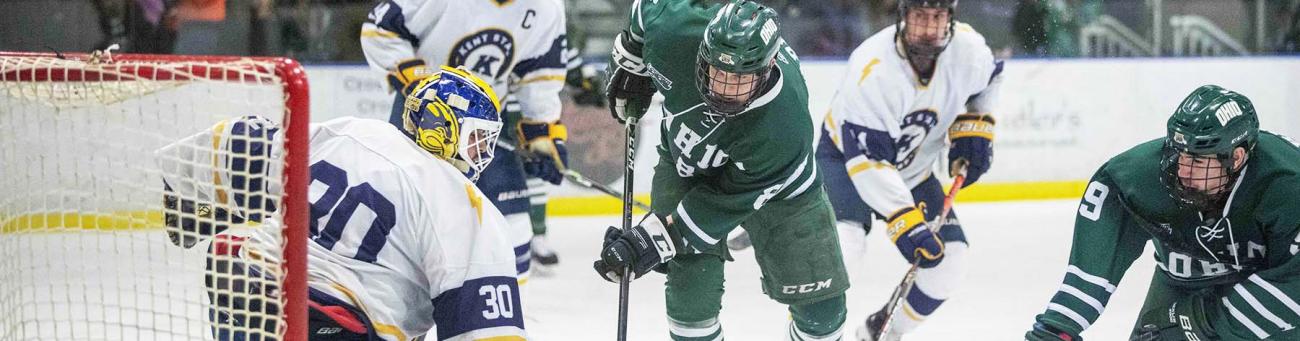 Hockey players go after the puck during a game.