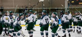 team raising sticks 